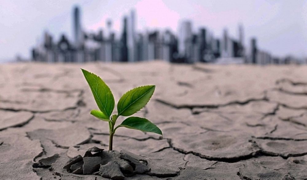 أوروبا هي القارة الأسرع تعرضًا لزيادة الحرارة