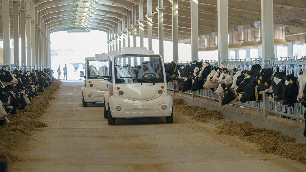 حاكم الشارقة يفتتح المرحلة الأولى لمزرعة مليحة للألبان ويطلق هويتها