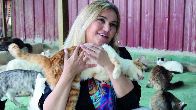 الامارات | أردنية تنقذ كلاب وقطط الشوارع