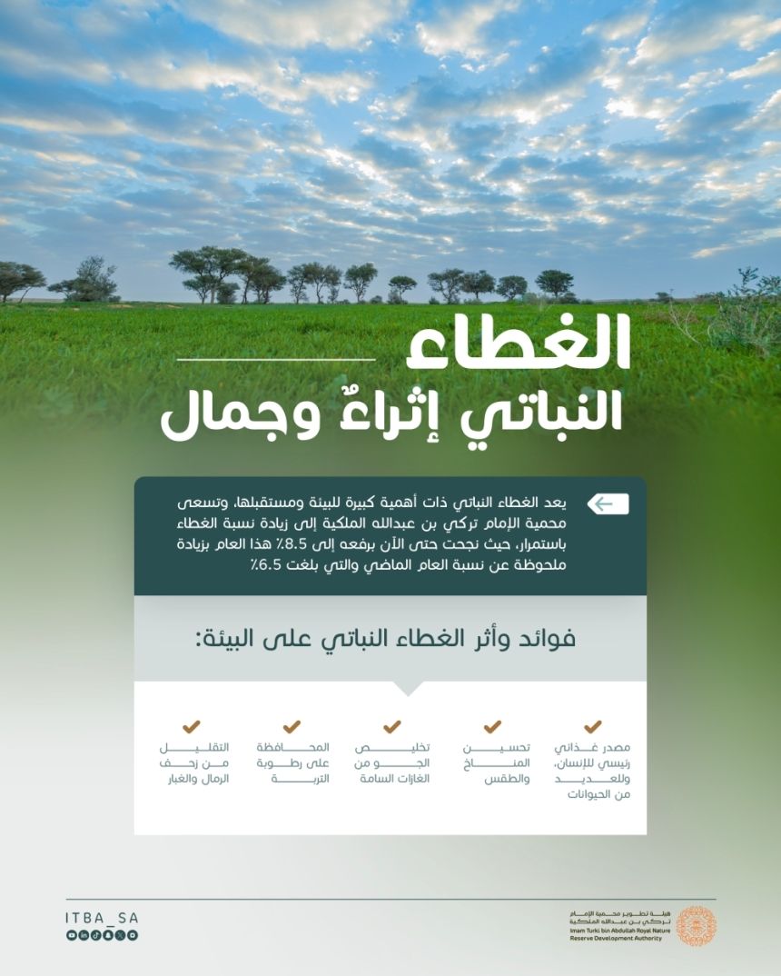 8.5 %..  نمو الغطاء النباتي بمحمية الإمام تركي الملكية في 2024