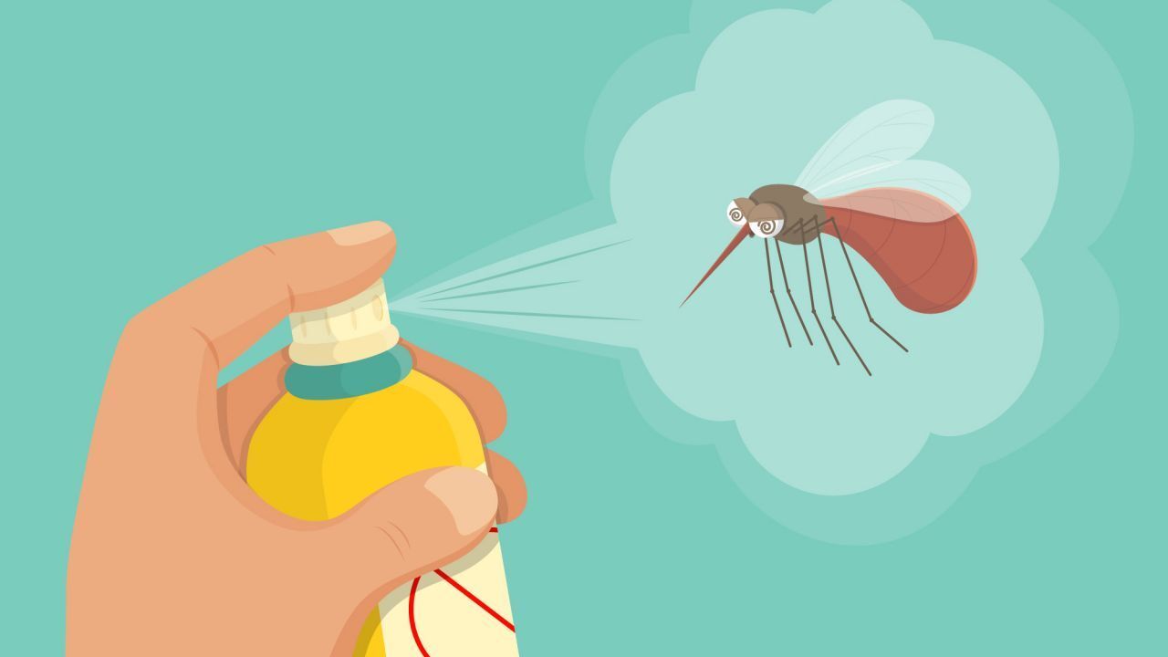 الامارات | «التغير المناخي والبيئة» تكثف جهود المرحلة الثالثة من «حملة مكافحة البعوض»