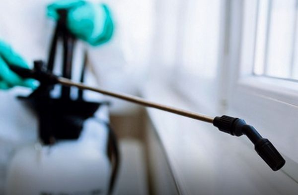 "أبوظبي للصحة العامة" يوسع نطاق خدماته لتشمل مكافحة آفات الصحة العامة