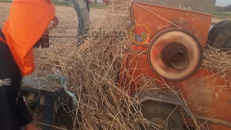 مصرع شاب التهمته دراسة القمح في قنا
