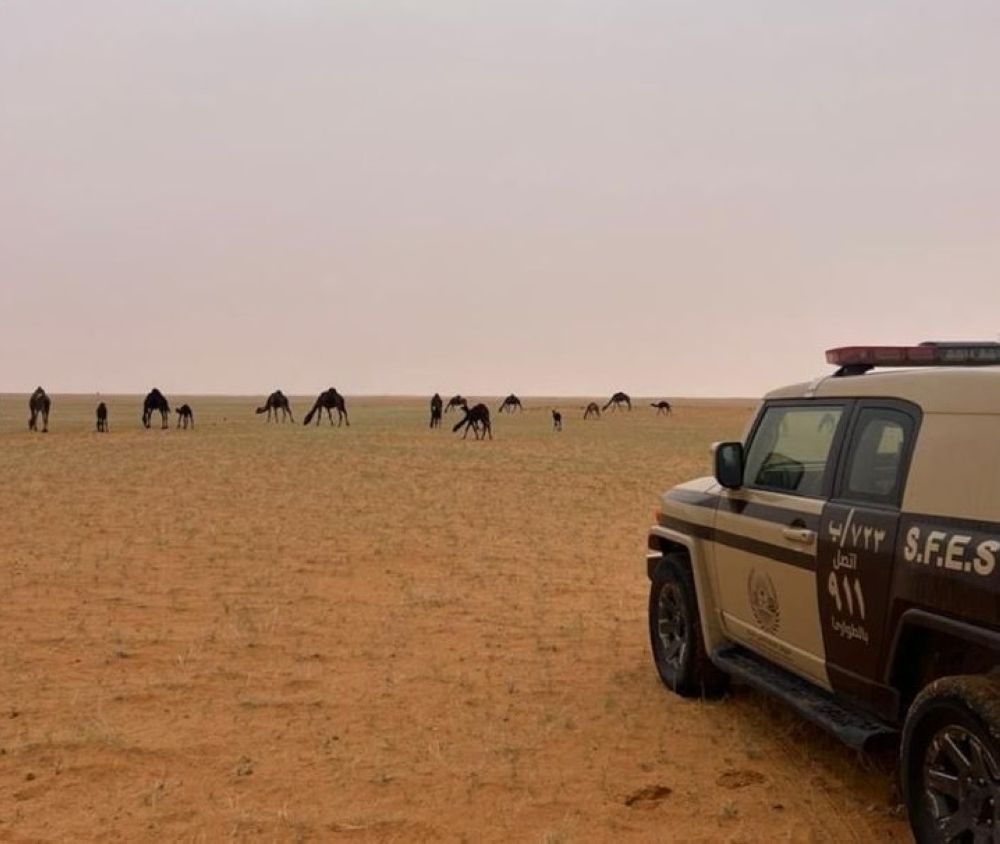 قوات الأمن البيئي تضبط 4 مخالفين لنظام البيئة بمحميتين