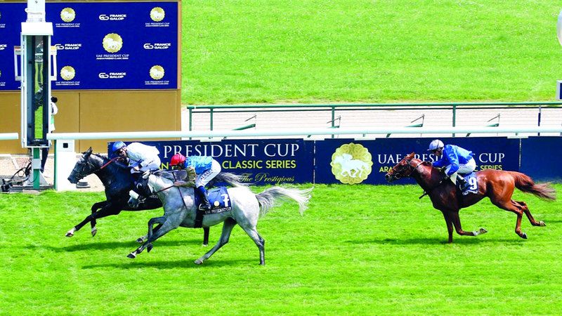 الامارات | إطلاق أجندة سباقات النسخة الـ 31 لكأس الخيول العربية