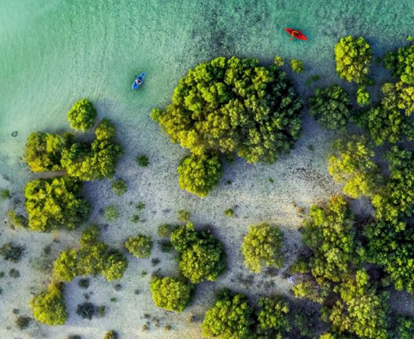 حمدان بن زايد يصدر قراراً بشأن نظام جودة الهواء في إمارة أبوظبي