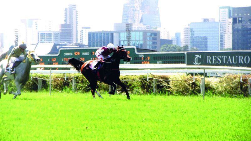 الامارات | كأس الوثبة للخيول  في البرازيل اليوم