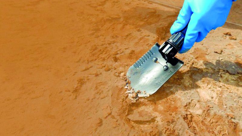 الامارات | 4 مشروعات مبتكرة لمراقبة جودة التربة في أبوظبي