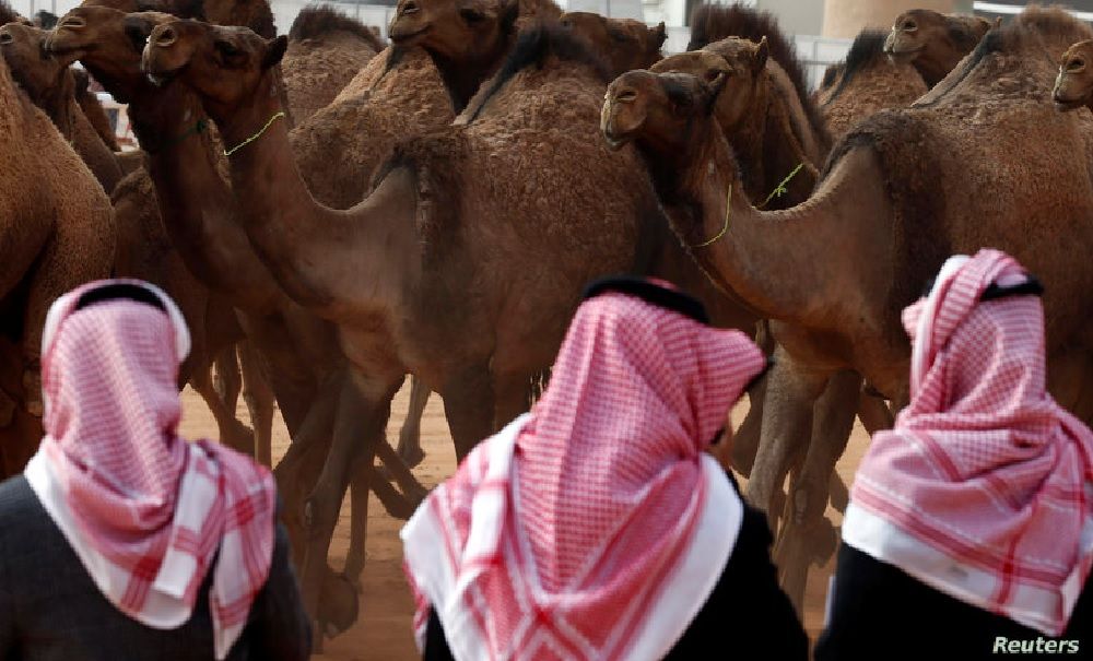 فيروس «ميرس».. السعودية ترفع حالة التأهب بسبب مرض مرتبط بكورونا