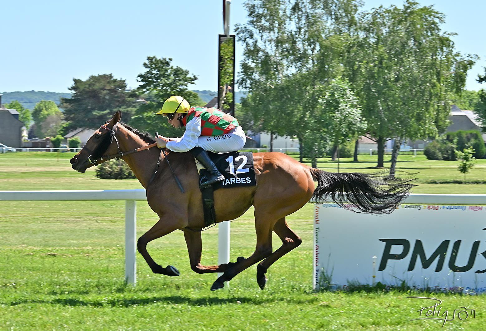 الامارات | "أريج ياس" تخطف أضواء كأس الوثبة في فرنسا