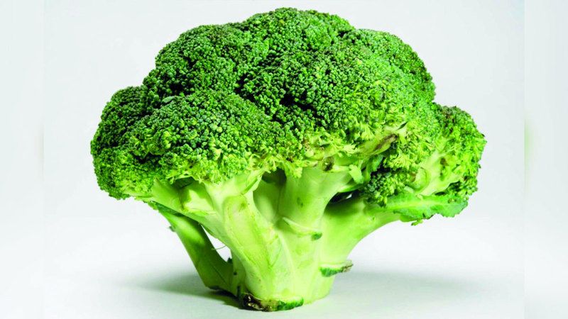 الامارات | البروكلي.. كنز من المعادن والفيتامينات