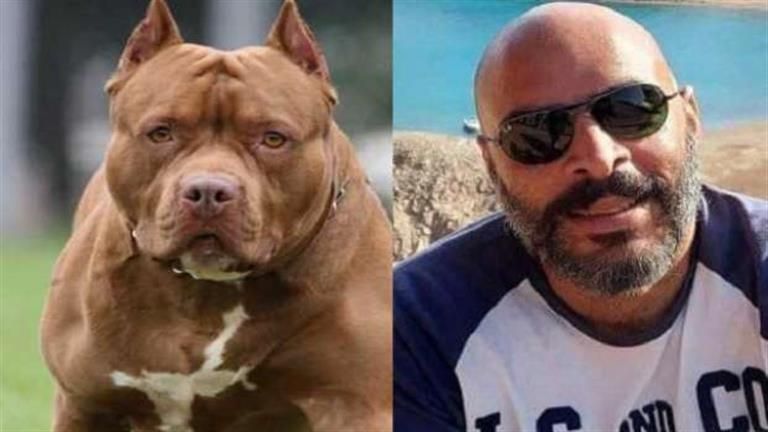 أولى جلسات الطعن.. زوج أميرة شنب يسلم نفسه بالنقض