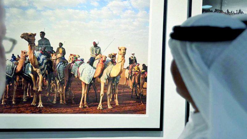 الامارات | عدسة فائزة في «فنون العالم دبي» تلاحق الهجن الأصيلة