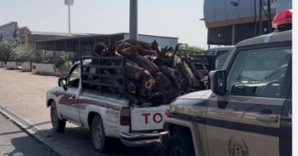 ضبط مخالف يخزّن 6 م3 من الحطب المحلي بالمدينة المنورة