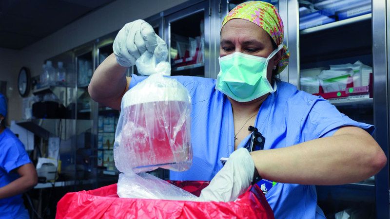 الامارات | أول مريض يخضع لزراعة كلية خنزير معدلة.. يفتح باباً للأمل ويرحل