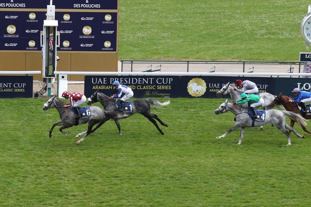 الامارات | الفرس «الدوحة» تحصد لقب كأس رئيس الدولة للخيول العربية في فرنسا