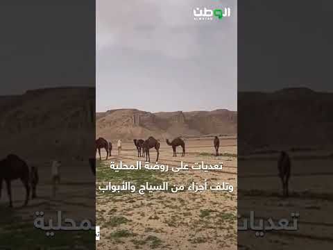 خطة لتأهيل وترميم الفياض الخضراء بالمناطق