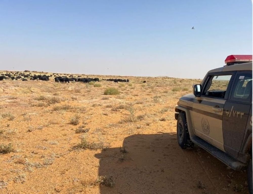 "الأمن البيئي" تضبط شخصًا ارتكب مخالفة رعي بمحمية الملك سلمان الملكية