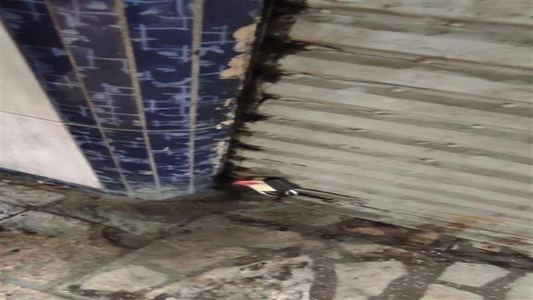 لترشيد استهلاك الكهرباء.. تحرير 148 مخالفة عدم التزام بقرار الغلق للمحلات