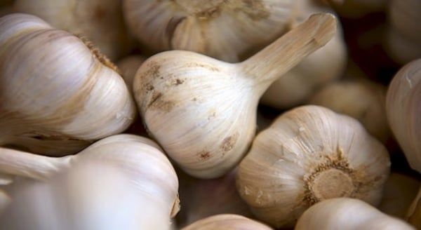 بعد تعطيلها السوق الحر.. مليشيا الحوثي تعترف: مزارعو الثوم تلقوا خسائر فادحة 