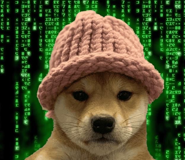 مع جمع عملة الميم الجديدة Sealana مبلغ 300,000$ وانهيار سعر WIF، هل أصبحت الأخيرة في طيّ النسيان؟