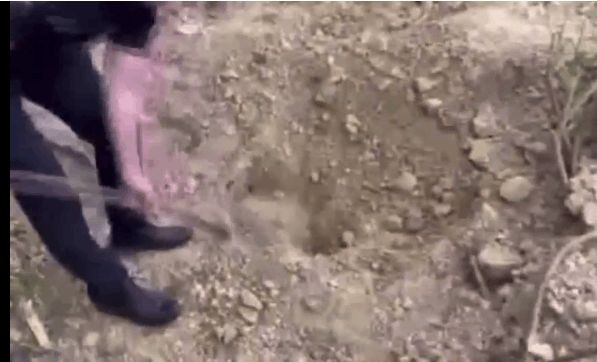 الامارات | إنقاذ مسن دفن حياً لمدة 4 أيام!