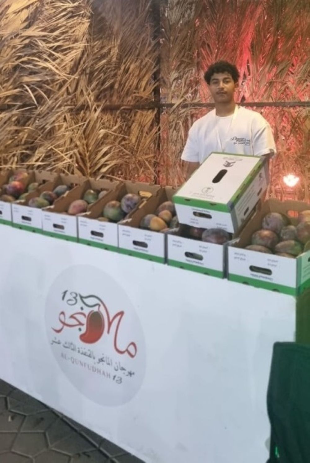 دعمًا للمزارعين.. توزيع 25 ألف عبوة فواكه بمهرجان مانجو القنفذة