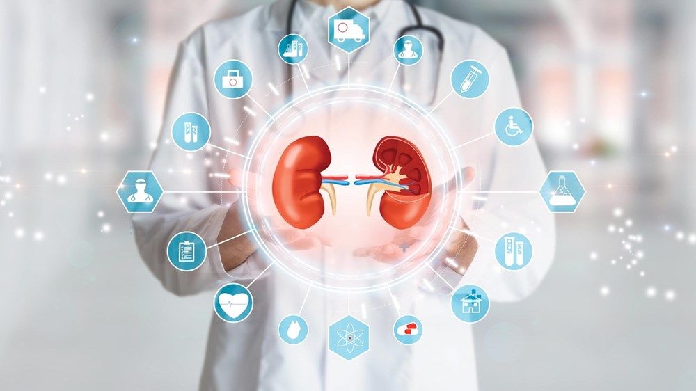 «زراعة الكلى».. إشراقة جديدة للحياة