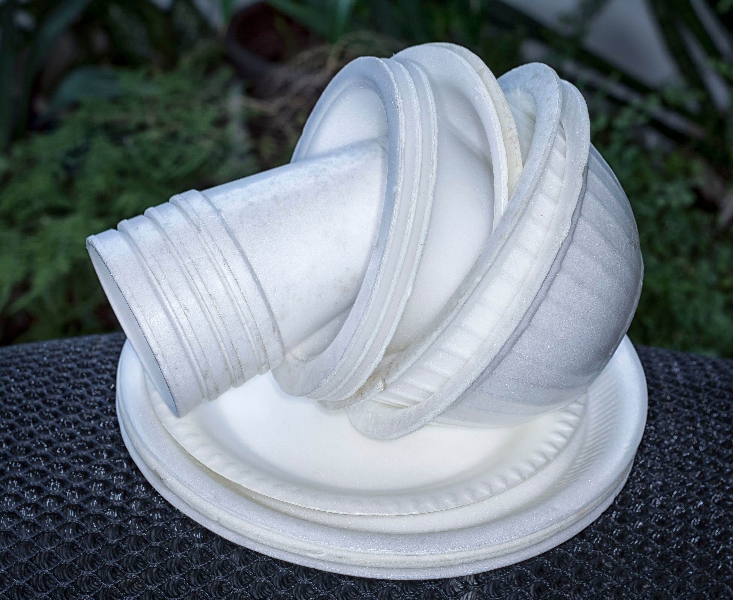 الامارات | بعد نجاح حظر الأكياس البلاستيكية.. حظر منتجات الـ "فوم" ذات الاستخدام الواحد في أبوظبي