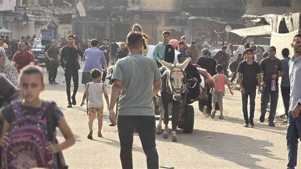 صحة غزة: ارتفاع حصيلة القتلى في القطاع إلى 35.709