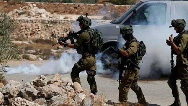 عشرات الشهداء والجرحى في قصف الاحتلال لغزة في اليوم الـ229 من العدوان