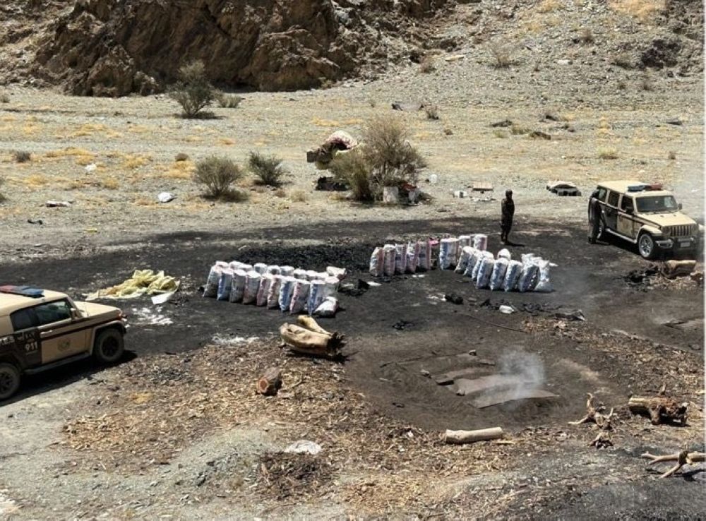 "الأمن البيئي" تضبط مخالفًا لقطع الأشجار وتخزين الحطب المحلي بالمدينة المنورة