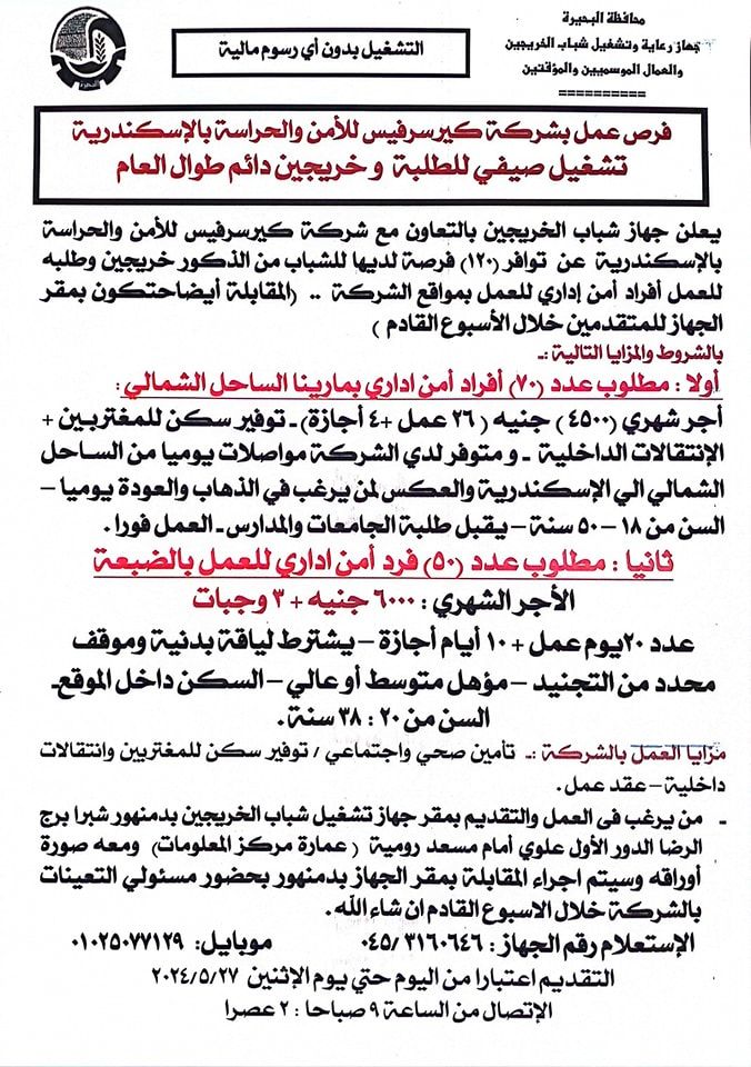 وظائف خالية للخريجين والطلبة بجهاز رعاية وتشغيل الشباب بمحافظة البحيرة