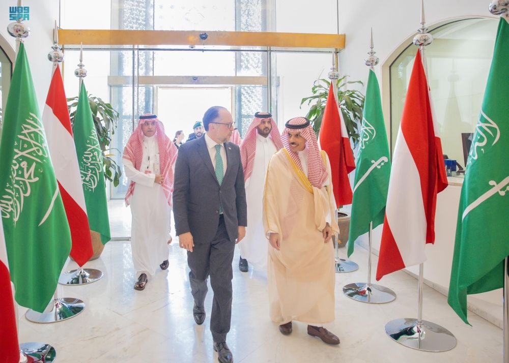 وزير الخارجية يبحث القضايا الإقليمية والدولية مع نظيره النمساوي