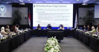 التخطيط تشارك باجتماع مشروع خصائص الاستثمار الأجنبى المباشر فى مصر
