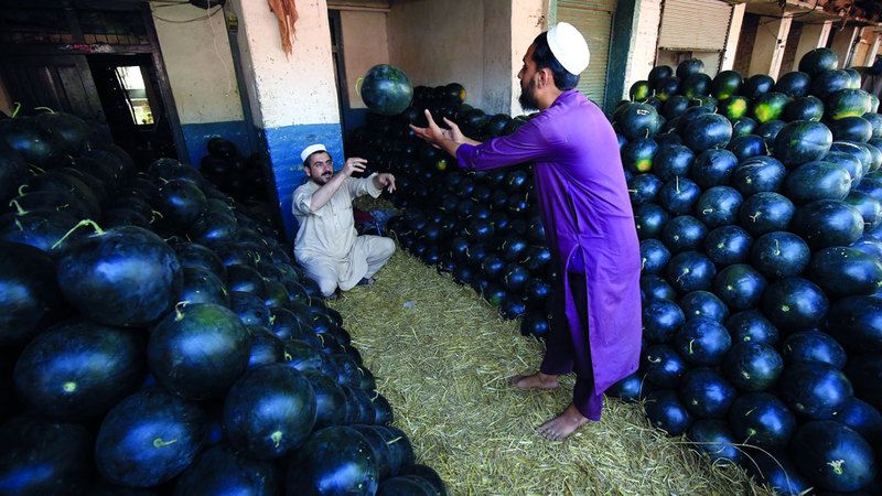 الامارات | باكستان.. برودة البطيخ لمواجهة حرارة الطقس