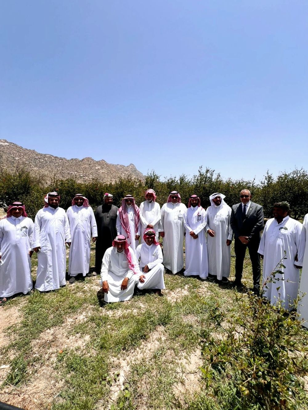 ورشة عمل لتعزيز إنتاج الرمان في بني مالك