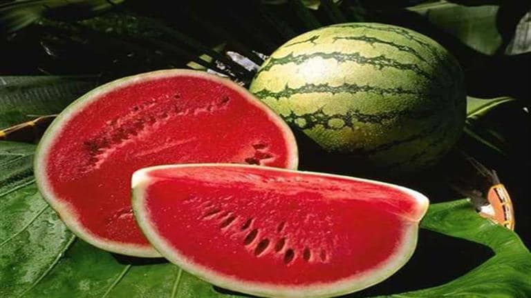 تعزيز المناعة وتحسين الهضم.. فوائد تناول البطيخ على الريق