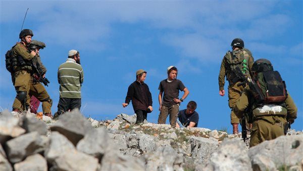 مستعمرون يستولون على محصول القمح جنوب بيت لحم