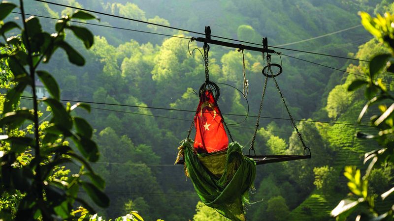 الامارات | من أجل الشاي.. حياة على حافة الخطر