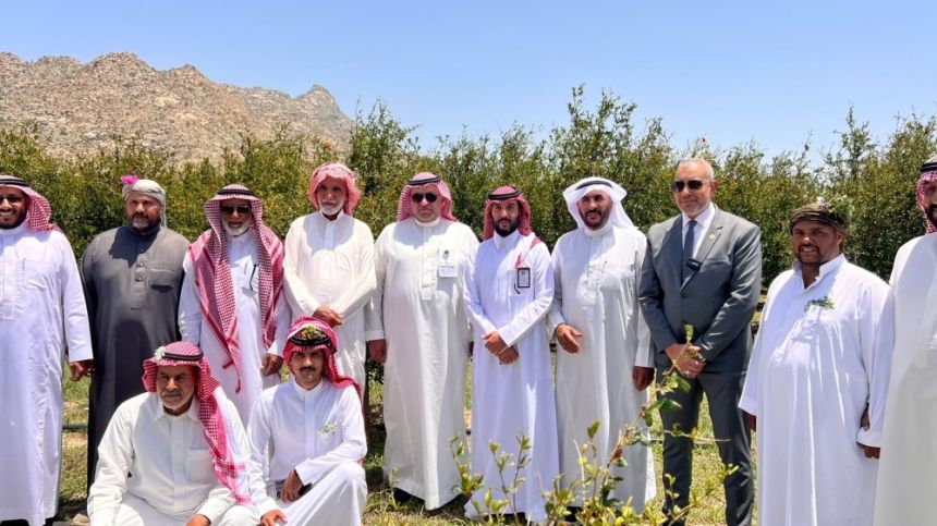 ورشة عمل لتعزيز إنتاج الرمان في بني مالك