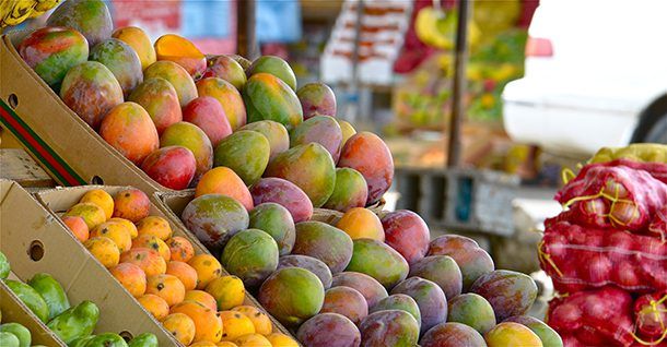 مهرجان المانجو الثاني بمنطقة الباحة يختتم فعالياته