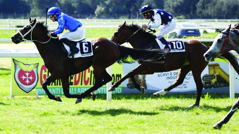 الامارات | كأس الوثبة في ضيافة إيطاليا اليوم