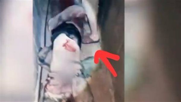 مقاتلًا بـ"شبشب" يسحب جنديًا إسرائيليًا داخل نفق