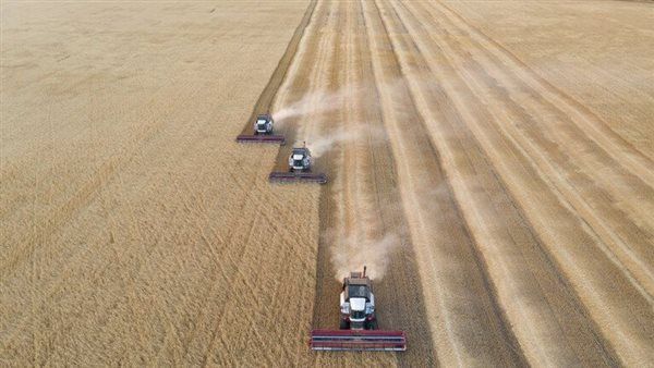 بوتين: المحاصيل الروسية المصنعة في المصانع الأوزبكية مطلوبة في الأسواق