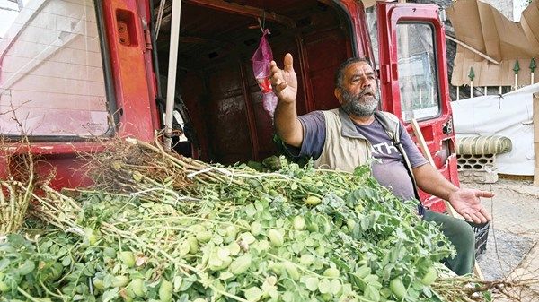 رئيس الوزراء المصري: حريصون على دعم لبنان