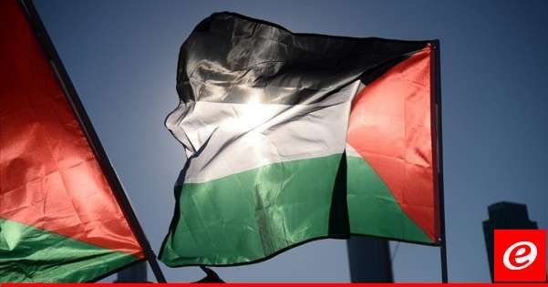 الحكومة الأيرلندية أعلنت الاعتراف رسميًا بالدولة الفلسطينية: سيتم تعيين سفير لدى فلسطين