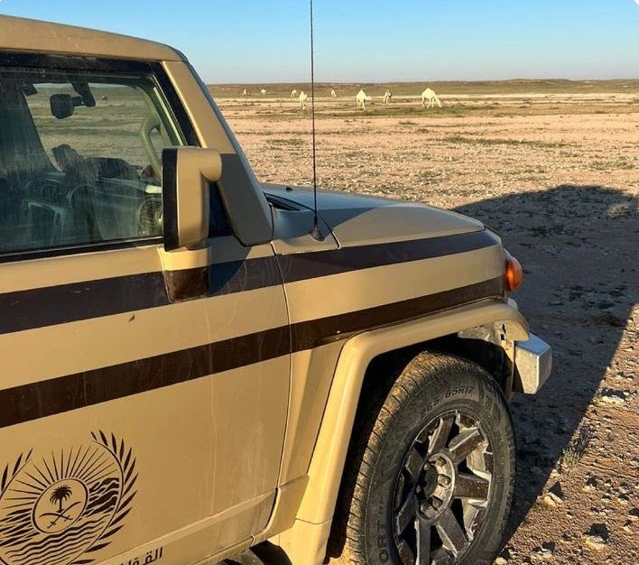 السعودية | ضبط مقيم مخالف لنظام البيئة لارتكابه مخالفة رعي في محمية الملك سلمان الملكية