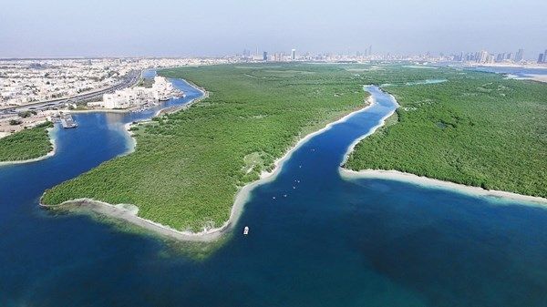 الإمارات وكوريا.. معاً لمواجهة تغيرات المناخ