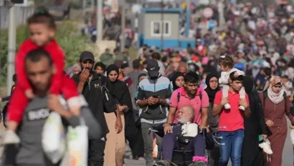 أونروا: فرار حوالي مليون شخص من رفح الفلسطينية خلال الأسابيع الثلاثة الماضية